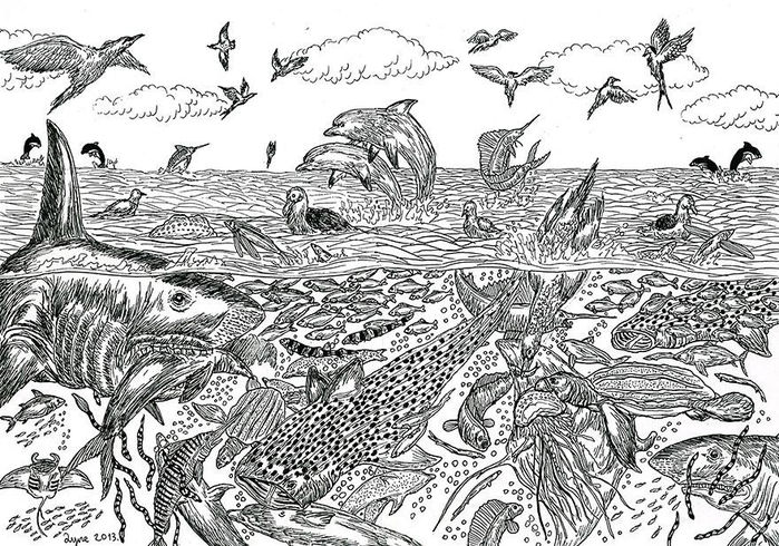 5354155-R3L8T8D-880-detailed-pen-drawings-prodigy-dusan-krtolica-13 (700x490, 324Kb)