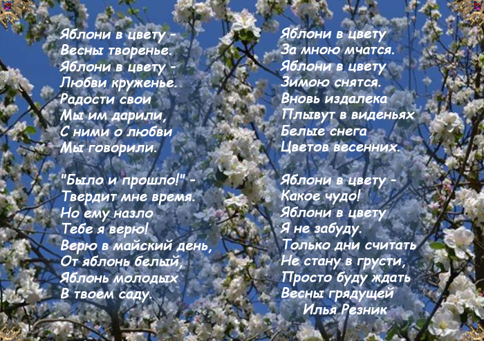 Май поэзия. Стихотворение о яблоне весной. Стихотворение о весне. Самые красивые стихи о весне. Стихи про Яблоневый цвет.