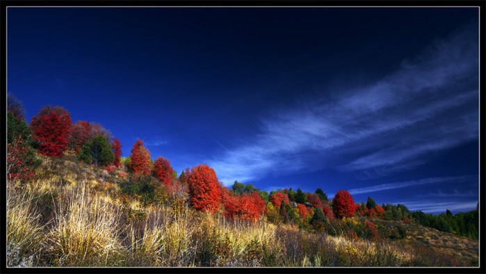 4954089_43e59c70acba16bfb59b600ff4c07a5c (700x394, 65Kb)
