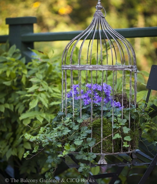 flowers-in-bird-cages-ideas2-3-1 (510x600, 299Kb)