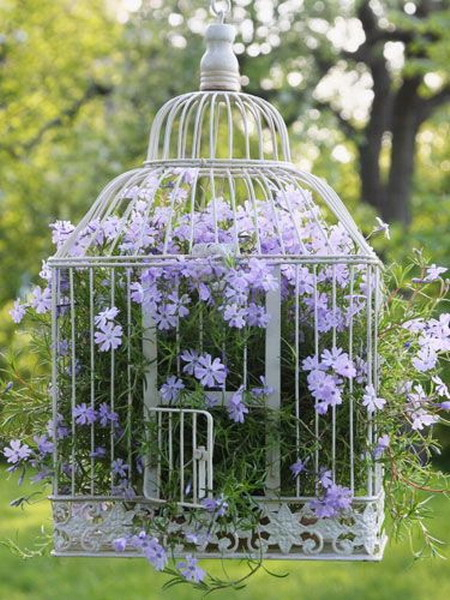 flowers-in-bird-cages-ideas2-4-1 (450x600, 288Kb)