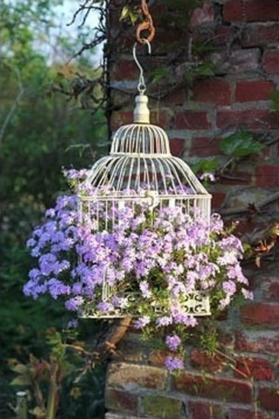 flowers-in-bird-cages-ideas2-4-3 (400x600, 226Kb)
