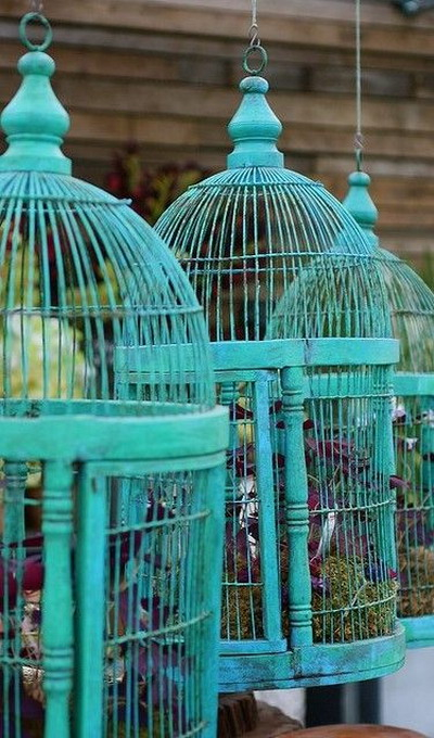 flowers-in-bird-cages-ideas3-4-5 (400x680, 304Kb)