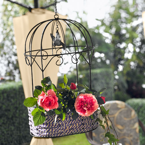 flowers-in-bird-cages-ideas3-5-1 (500x500, 212Kb)