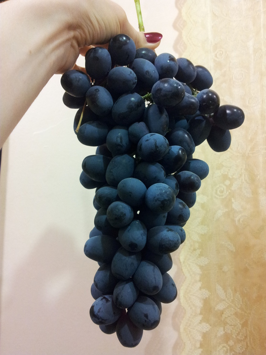 20140806_195932 (525x700, 169Kb)