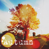 1409683259_tumblr_lqf570KAVl1qbm5kso1_500 (100x100, 43Kb)