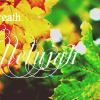 1409683398_tumblr_lsso2r5DIB1qhzqtgo1_500 (100x100, 48Kb)