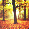 1409683500_tumblr_lu9b3h1Wlq1qcn4zco1_500 (100x100, 40Kb)