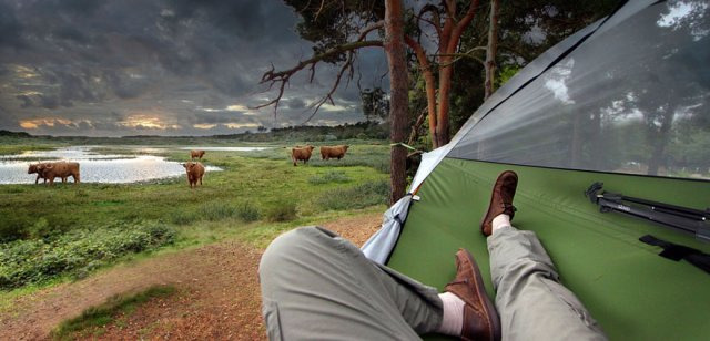 suspended-treehouse-tent-tentsile-alex-shirley-smith-7 (640x308, 169Kb)
