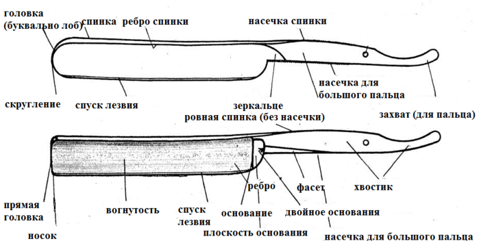 устройство бритвы (700x352, 152Kb)