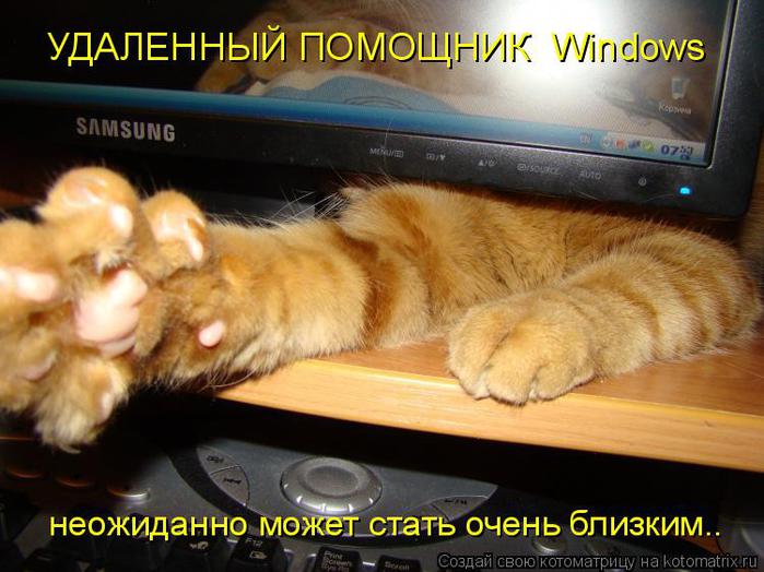 kotomatritsa_S (700x524, 59Kb)