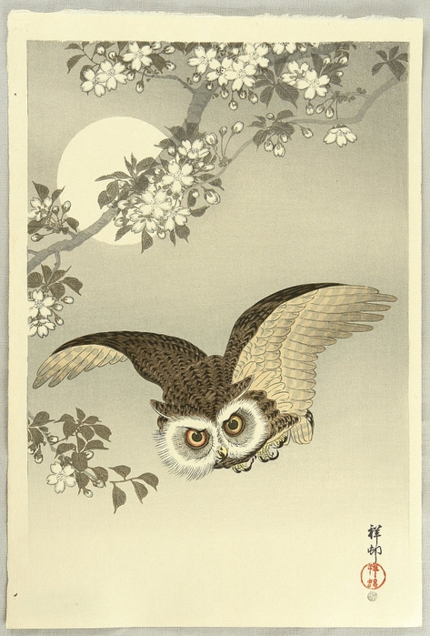 3623822_Koson_Ohara17 (473x700, 248Kb)