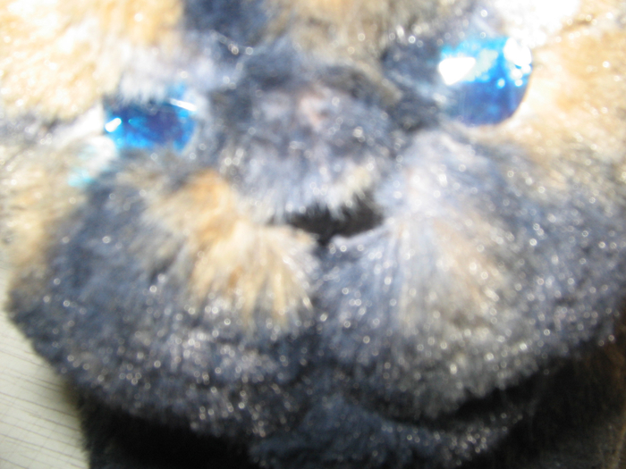 IMG_0331 (700x525, 375Kb)
