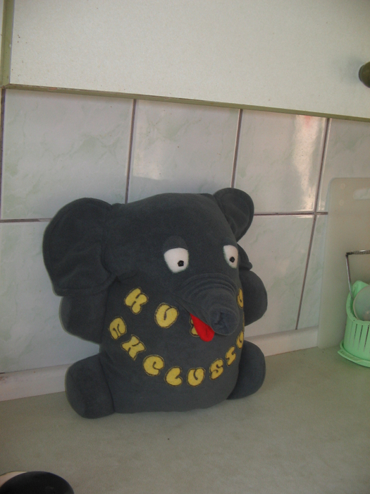 IMG_0417 (525x700, 357Kb)