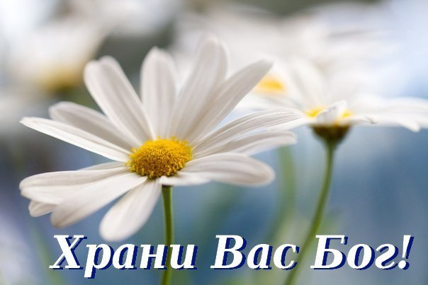 yEIjep4uhFU (604x403, 158Kb)