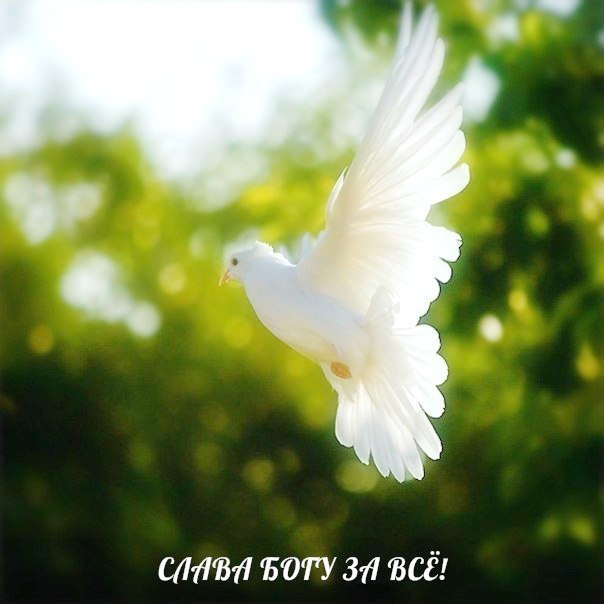 5RYGfg8a66U (604x604, 216Kb)