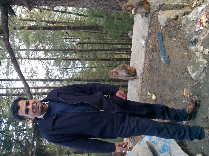 muree 30-01-2014 (23) (700x525, 519Kb)