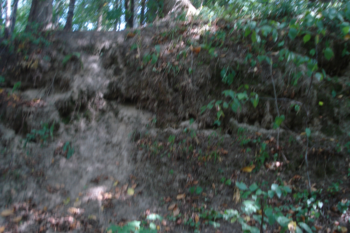 DSC08146 (700x466, 465Kb)