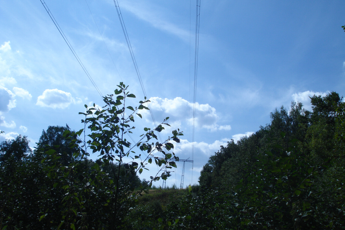 DSC08150 (700x466, 419Kb)