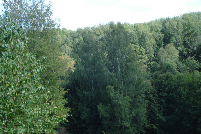 DSC08166 (700x466, 496Kb)