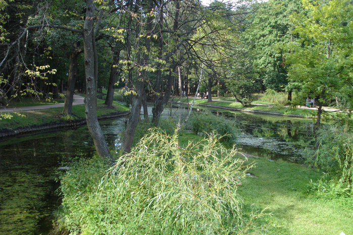 DSC08201 (700x466, 604Kb)