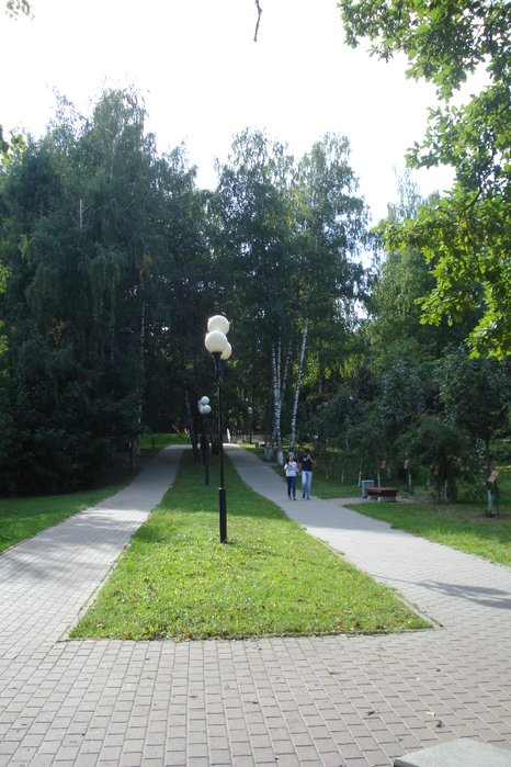 DSC08228 (466x700, 478Kb)