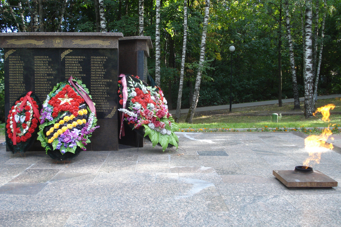 DSC08239 (700x466, 552Kb)