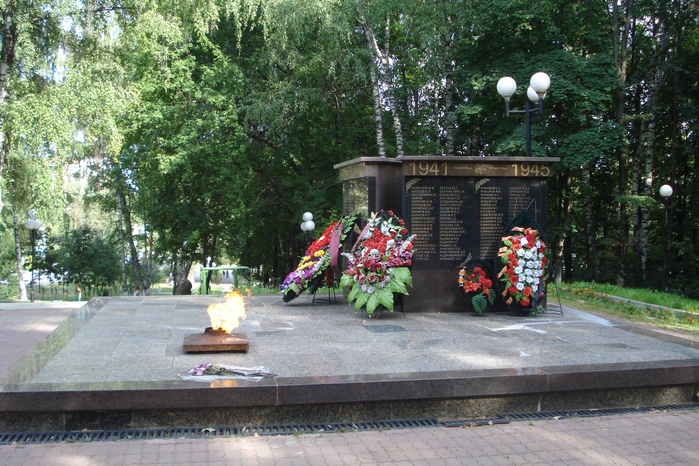 DSC08247 (700x466, 559Kb)