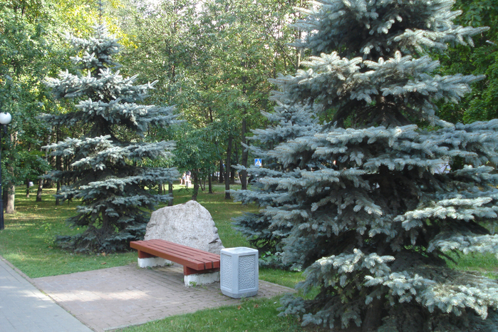 DSC08253 (700x466, 570Kb)