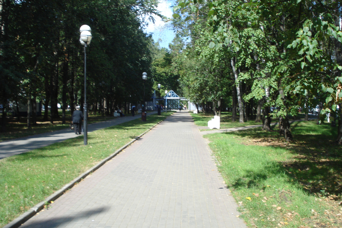 DSC08127 (700x466, 510Kb)