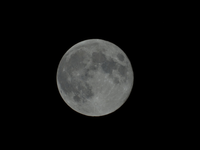 5559494_DSC05788 (700x525, 41Kb)
