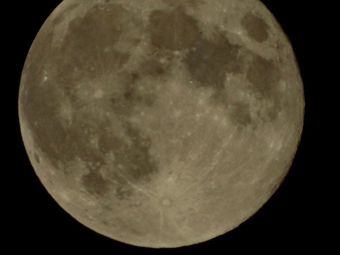 5559494_DSC05785 (700x525, 153Kb)