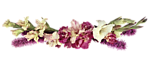 0_6ca05_aec86d0_S.jpg (150x58, 13Kb)