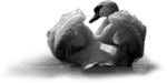  _Swan (37) (700x350, 112Kb)