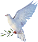  Dove (39) (257x288, 119Kb)