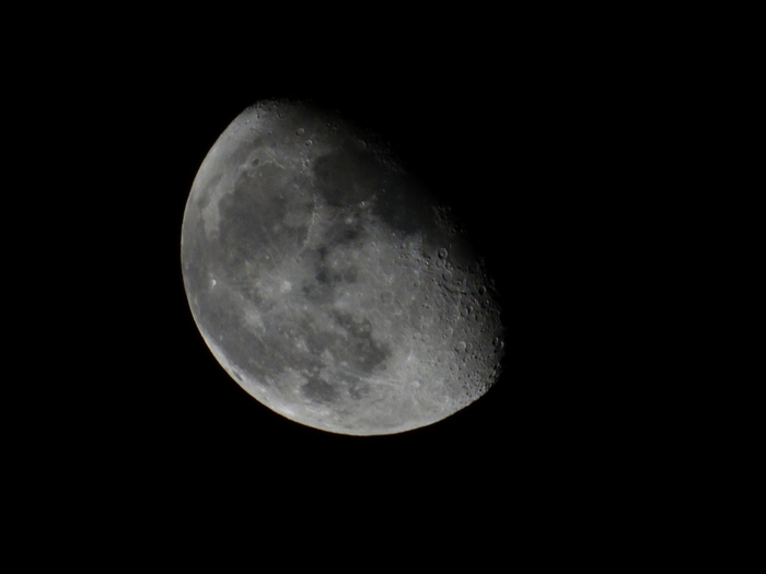 5559494_DSC06811 (700x525, 53Kb)