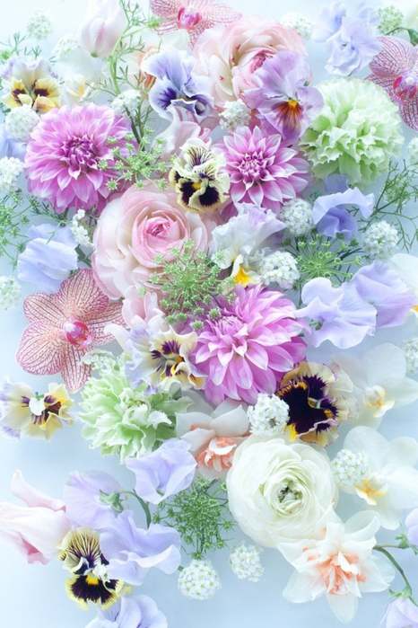 3623822_lilac_green_pink_flowers_via_pinterest (466x700, 277Kb)