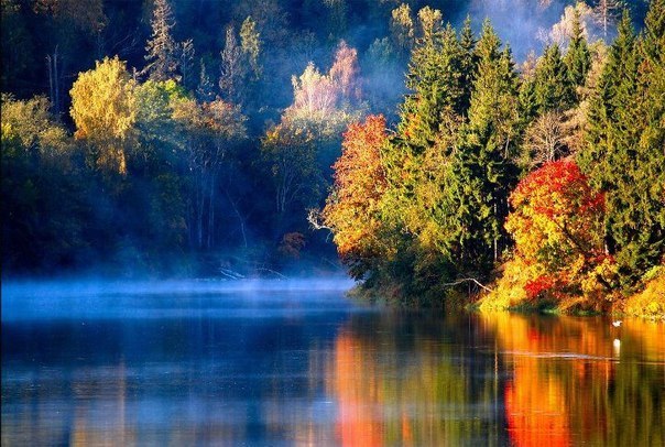 5361707_prir_latviya (604x406, 90Kb)