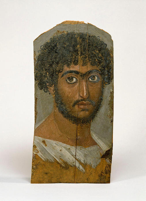 640px-Egyptian_-_Mummy_Portrait_of_a_Bearded_Man_-_Walters_326 (507x700, 341Kb)