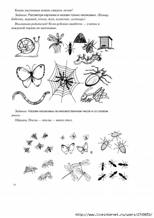 Задания по теме насекомые для дошкольников в картинках