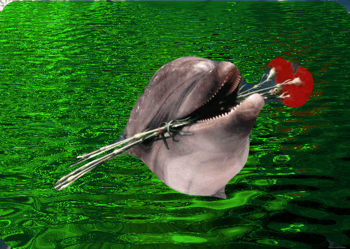 ___2_~1 (500x355, 2553Kb)