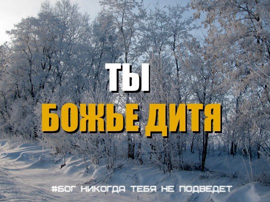 hkVrxGtJbeE (540x405, 88Kb)