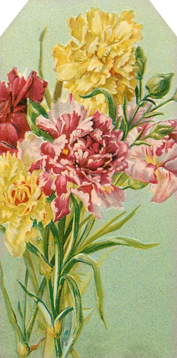 4267534_Floral_tag__carnation_bouquet__lilacnlavender (346x700, 231Kb)