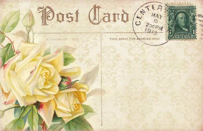 4267534_Roses_yellow_cluster__postcard_back__lilacnlavender (700x451, 240Kb)