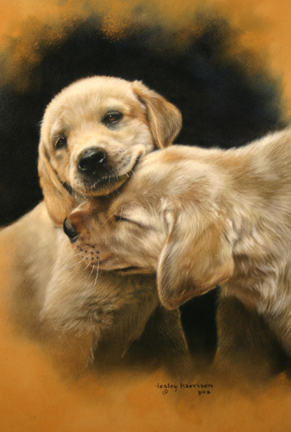 3623822_puppylove (291x432, 242Kb)