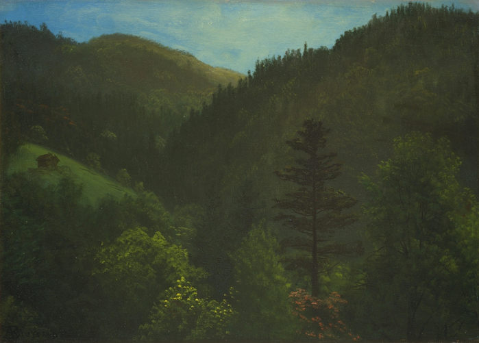 wooded-landscape (700x501, 347Kb)