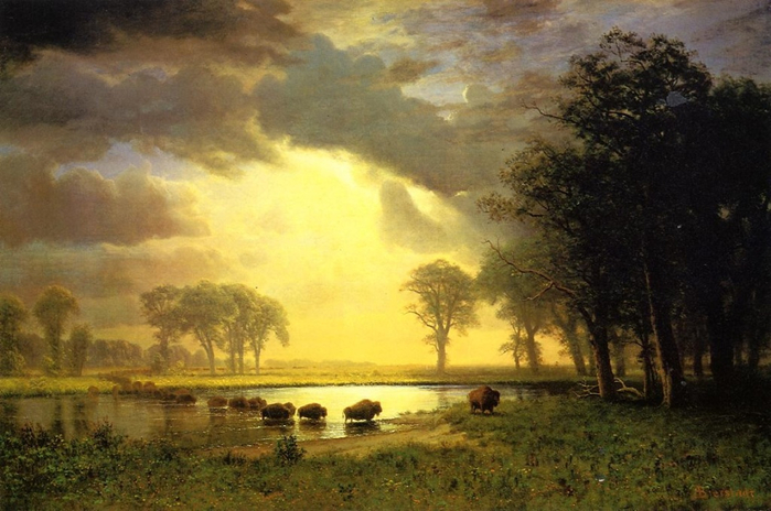 the-buffalo-trail (700x464, 341Kb)