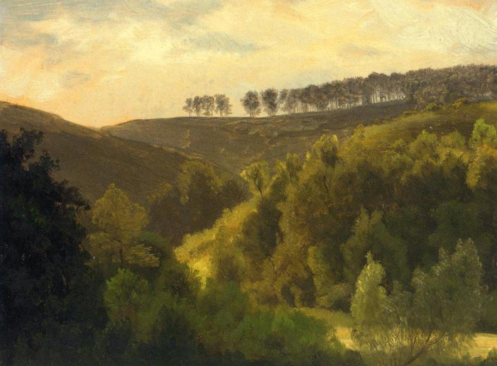 sunrise-over-forest-and-grove (700x516, 341Kb)