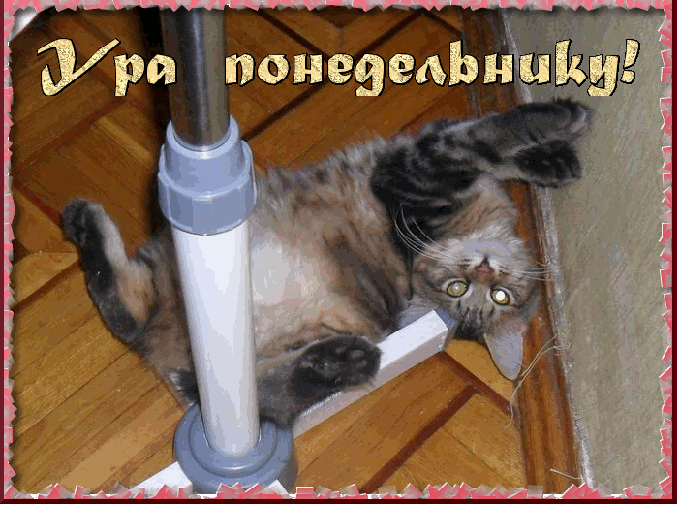 Ура На Работу Картинки Смешные
