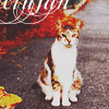 1411422375_tumblr_nc7v6o9XE81s38f7po1_500 (100x100, 42Kb)